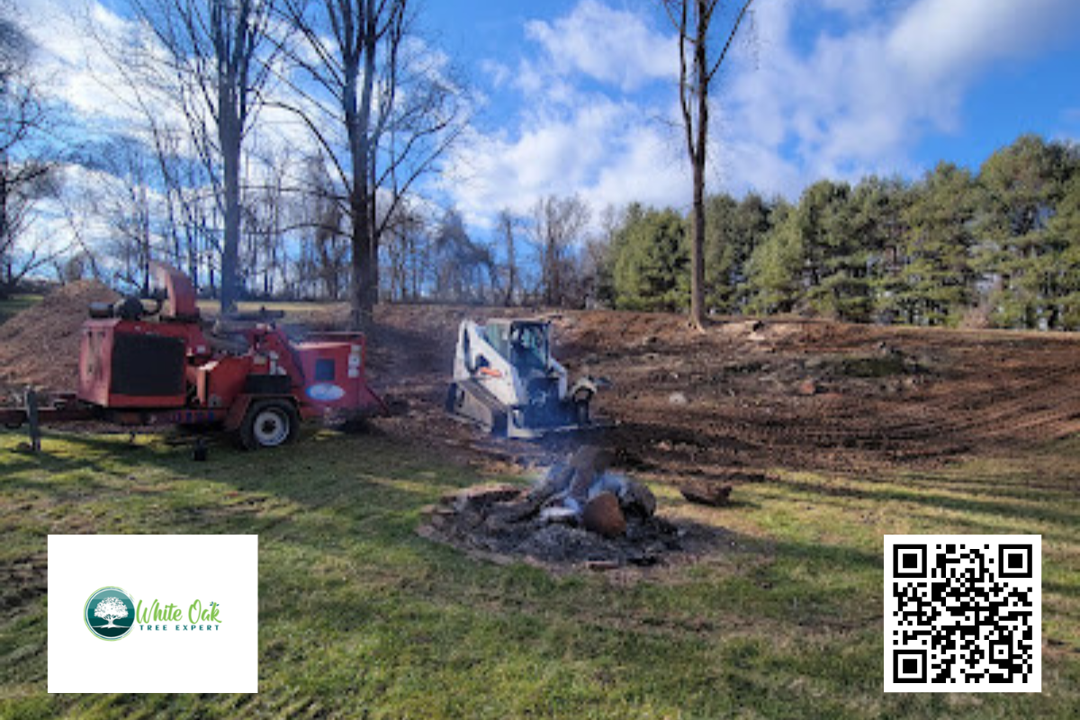 Professional Tree Service